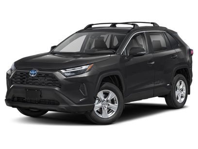 New 2025 Toyota RAV4 XLE