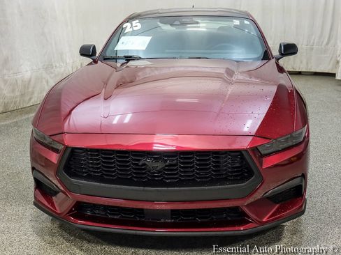 Used 2025 Ford Mustang Premium w/ Mustang Nite Pony Package RWD image 6