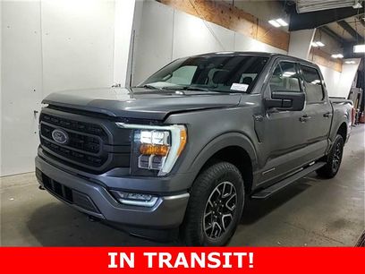 Used 2023 Ford F150 XLT w/ Equipment Group 302A High