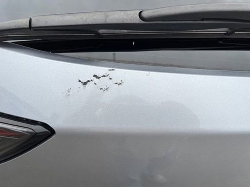 Used 2024 Subaru Outback Wilderness image 13