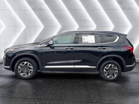Used 2023 Hyundai Santa Fe Blue AWD/4WD image 2
