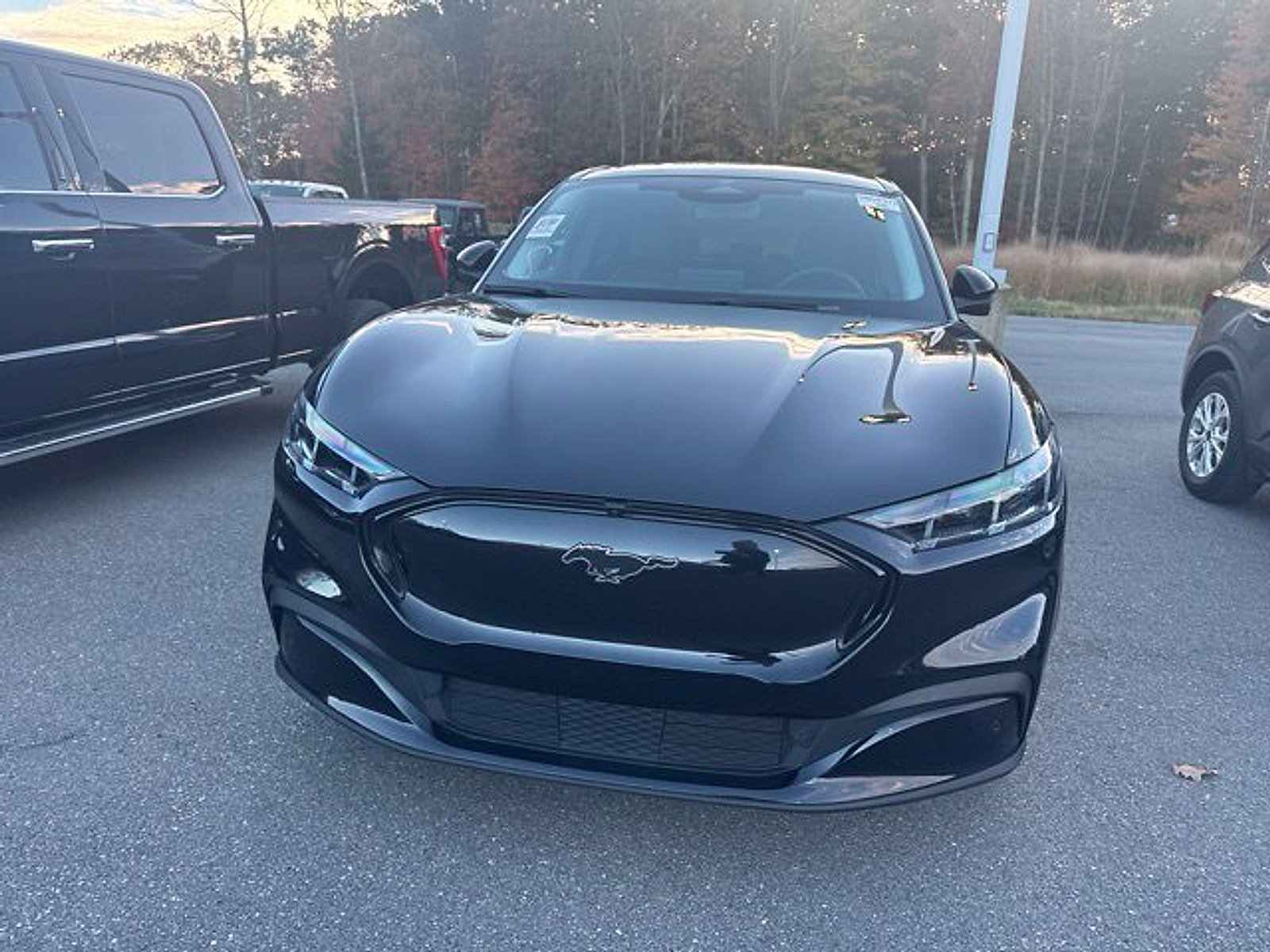 Used 2025 Ford Mustang Mach-E Premium AWD/4WD image 5
