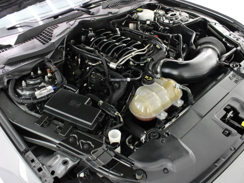 Used 2019 Ford Mustang GT w/ Equipment Group 301A RWD image 67