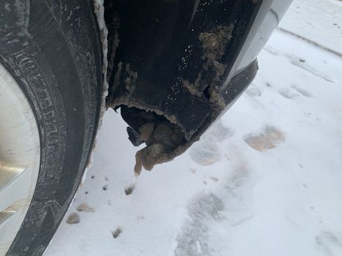 Used 2010 Honda CR-V EX-L image 10