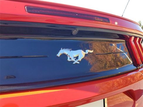 Used 2019 Ford Mustang Premium w/ Equipment Group 201A image 30