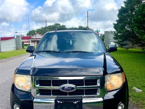 Used 2012 Ford Escape Limited image 2