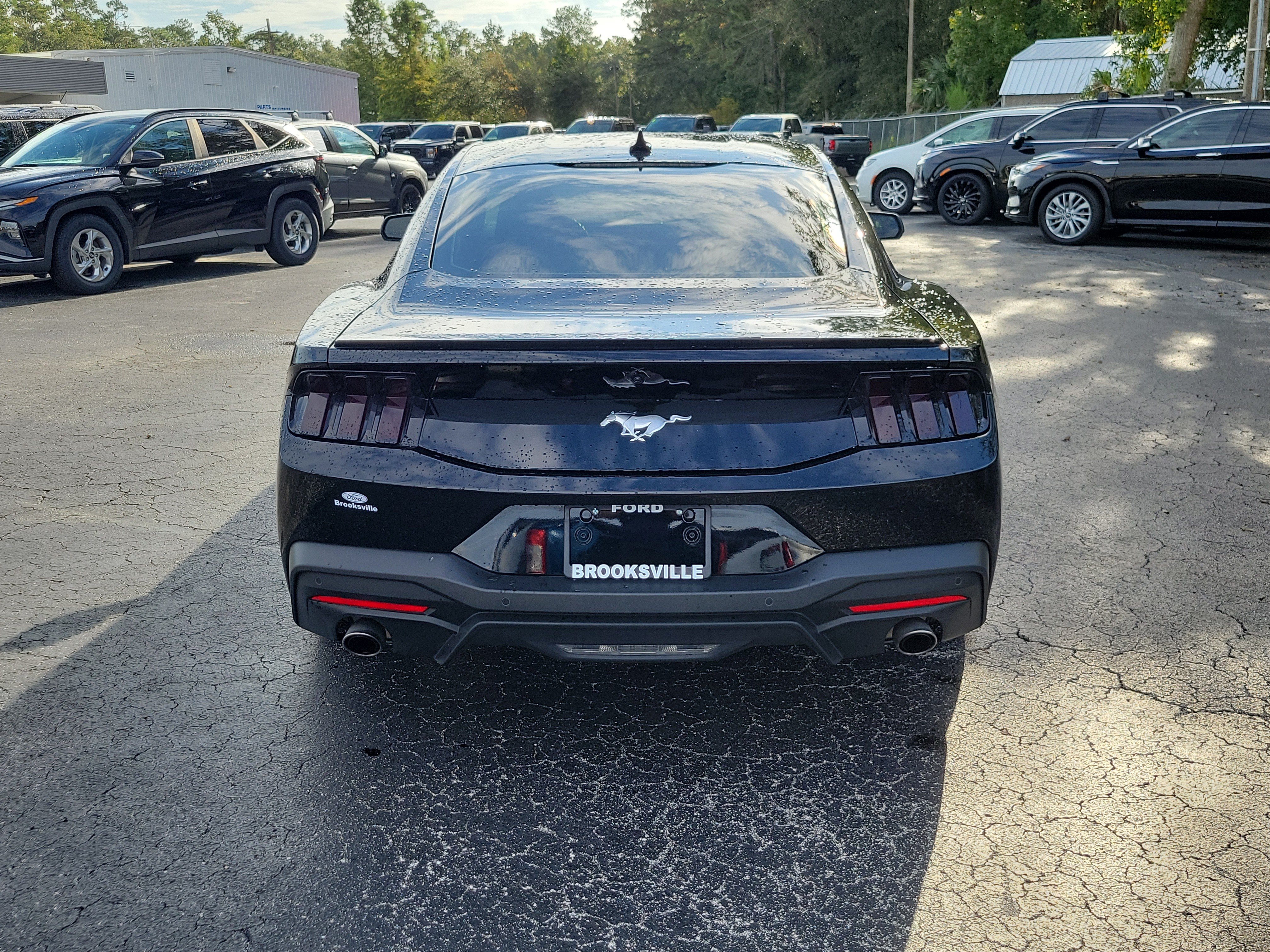 Used 2025 Ford Mustang Premium RWD image 3