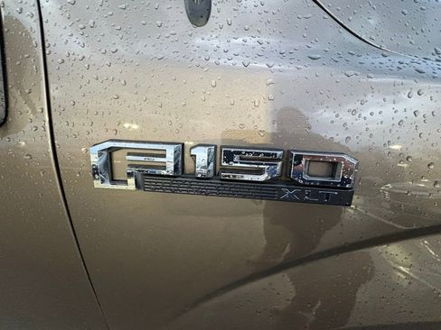 Used 2019 Ford F150 XLT w/ Equipment Group 302A Luxury image 3