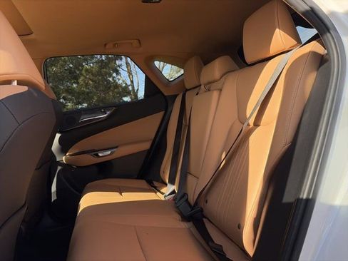 Used 2025 Lexus NX 350h AWD w/ Premium Package image 13