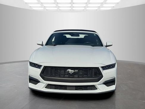 Used 2025 Ford Mustang Premium RWD image 2