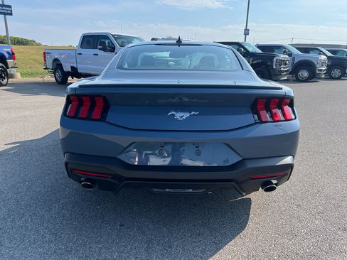 Certified 2024 Ford Mustang Premium image 6