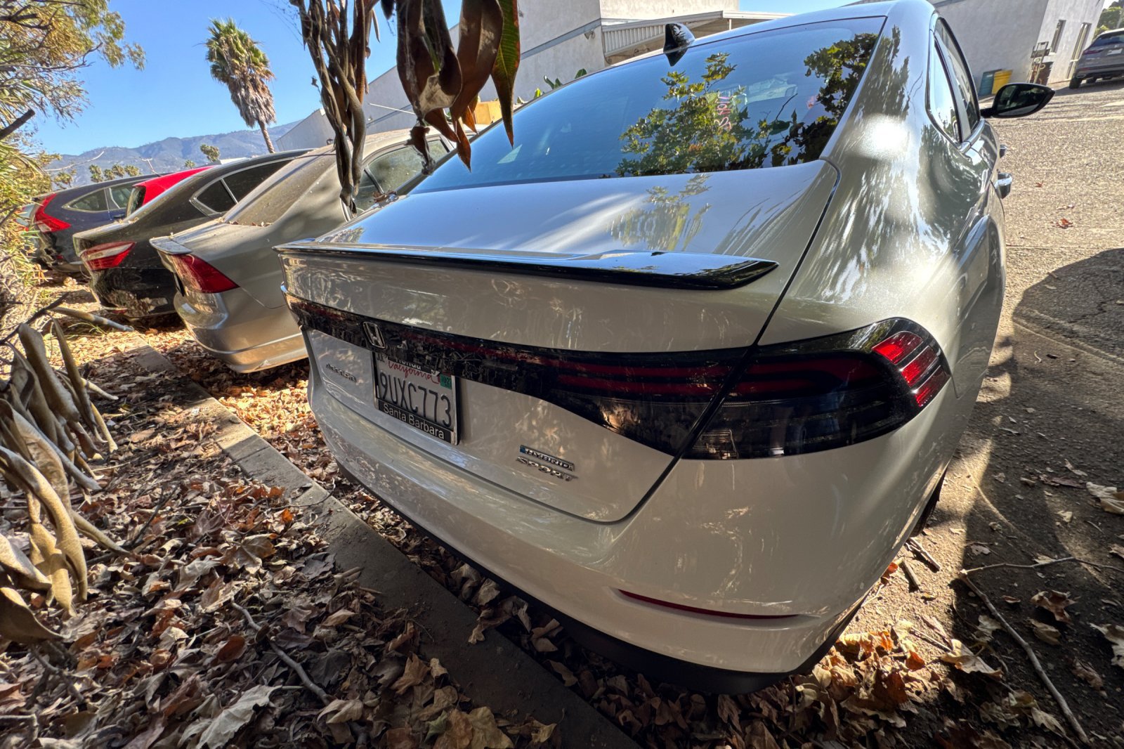 Used 2025 Honda Accord Sport image 5