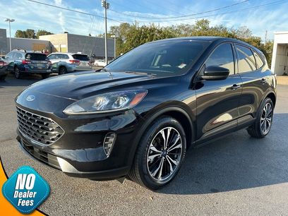Used 2022 Ford Escape SE w/ SE Sport Appearance Package