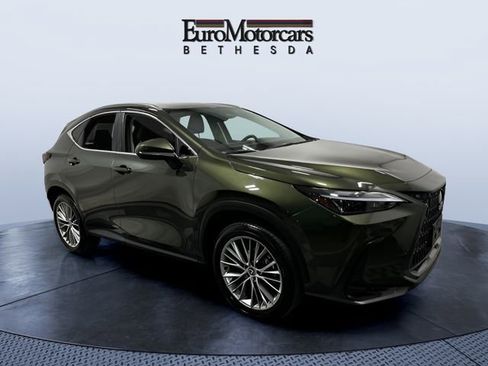 Used 2025 Lexus NX 350h AWD w/ Accessory Package (2T) image 7