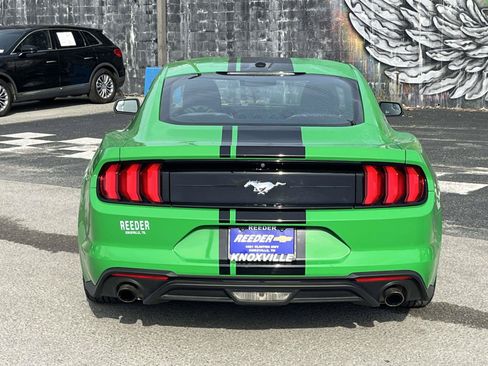 Used 2019 Ford Mustang Coupe RWD image 6