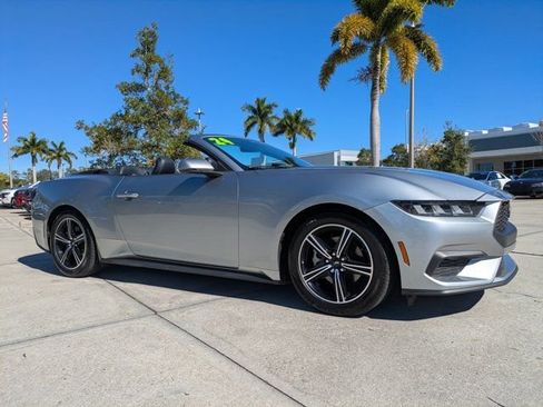 Certified 2024 Ford Mustang Premium image 2