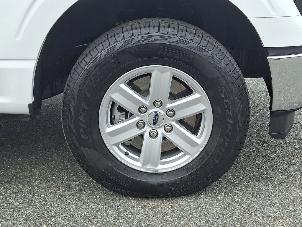 Used 2026 Ford F150 XL w/ Equipment Group 103A High AWD/4WD image 8