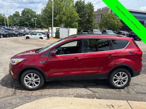 Used 2019 Ford Escape SEL AWD/4WD image 2