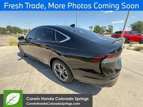 Used 2025 Honda Accord EX-L image 3