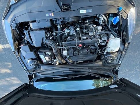 Used 2023 Hyundai Elantra N Line image 12