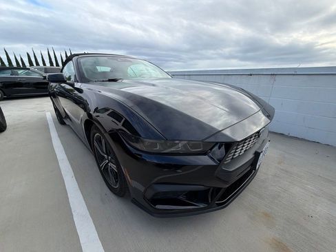 Used 2025 Ford Mustang Convertible RWD image 3