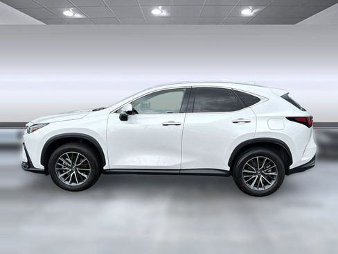 Used 2024 Lexus NX 250 FWD image 2
