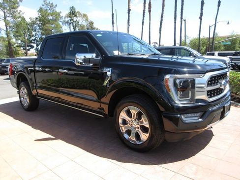 Certified 2023 Ford F150 Platinum image 6