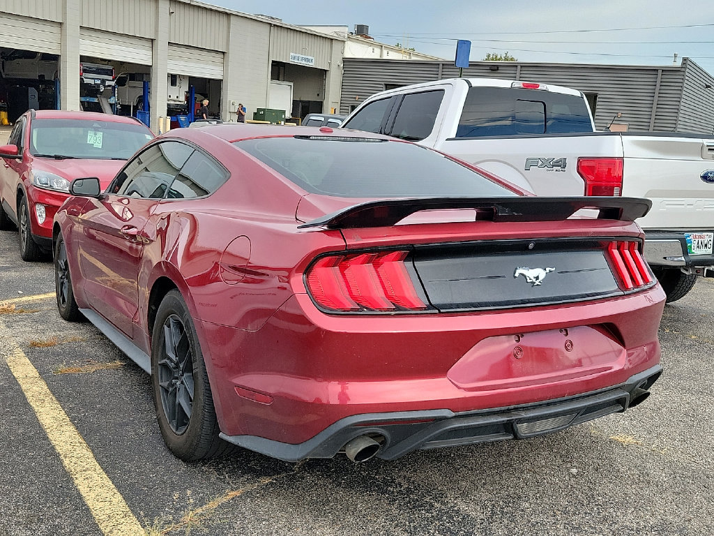 Used 2019 Ford Mustang Coupe RWD image 3