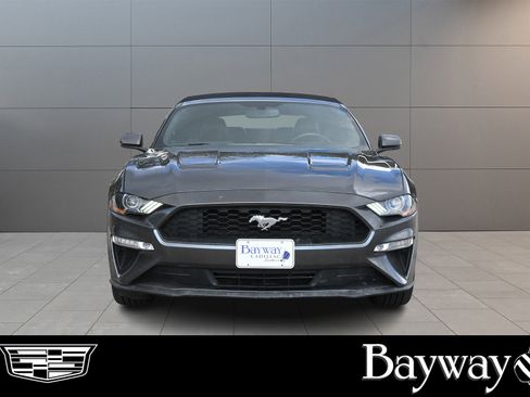 Used 2019 Ford Mustang Premium image 2