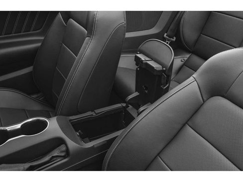 Used 2019 Ford Mustang Premium w/ Equipment Group 201A image 9