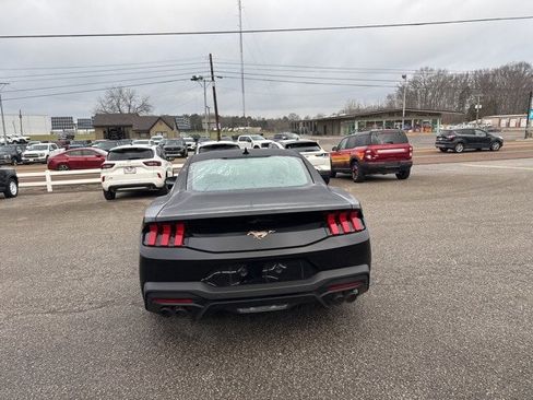 New 2026 Ford Mustang Ecoboost Fastback w/ Bronze Appearance Package image 43