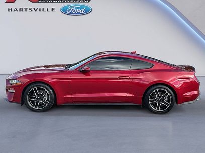 Used 2022 Ford Mustang Coupe w/ Equipment Group 101A