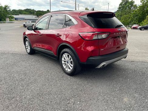Used 2020 Ford Escape SE AWD/4WD image 5