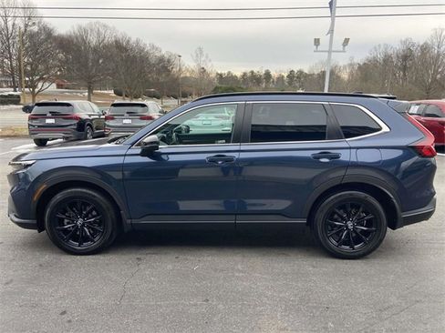 Used 2024 Honda CR-V Sport image 6