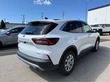 Used 2024 Ford Escape Active w/ Tech Pack #1 image 6