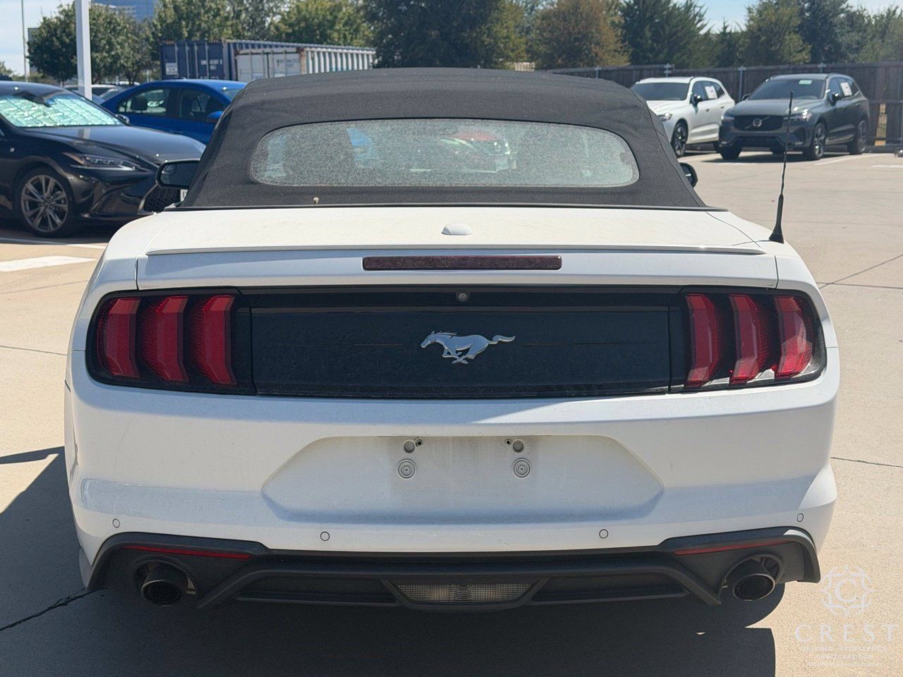 Used 2020 Ford Mustang Premium RWD image 6