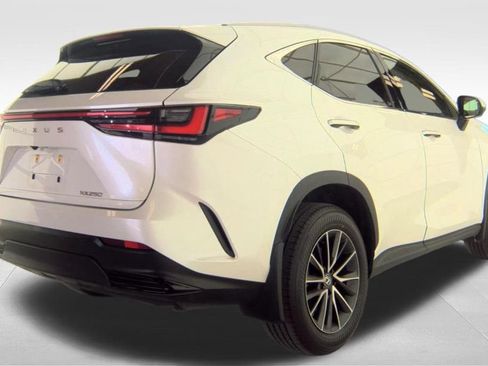 Used 2024 Lexus NX 250 FWD w/ Cold Area Package image 7