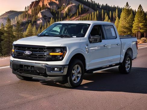Used 2025 Ford F150 XLT w/ Equipment Group 301A Standard AWD/4WD image 4