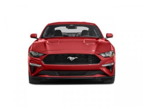 Used 2022 Ford Mustang Premium w/ Equipment Group 201A image 4