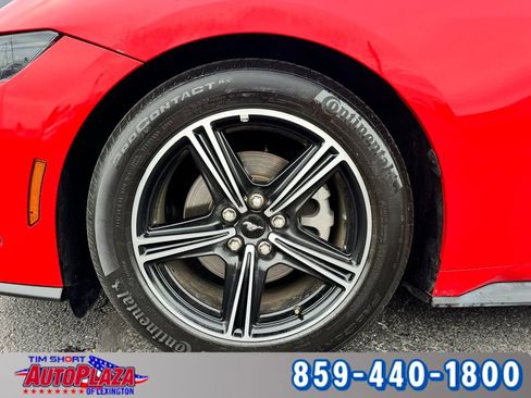 Used 2025 Ford Mustang Premium RWD image 6