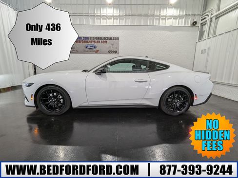 Used 2024 Ford Mustang Premium w/ Mustang Nite Pony Package image 1