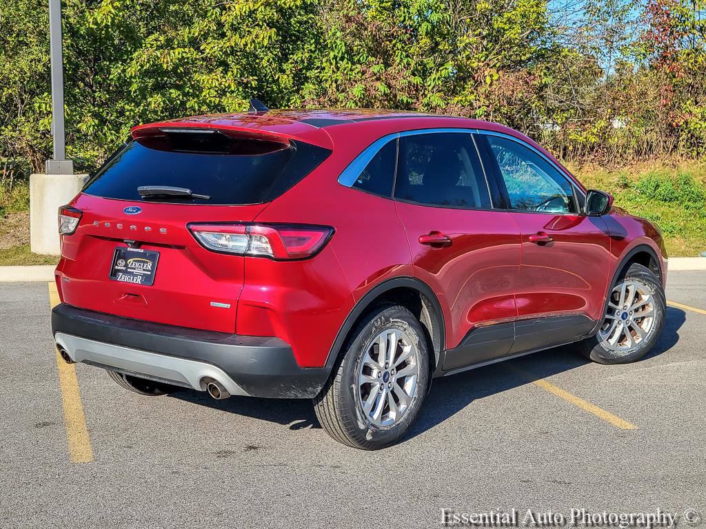 Used 2020 Ford Escape SE FWD image 7