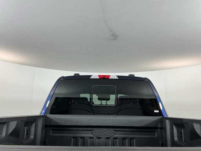 Used 2025 Ford F350 Platinum w/ Tremor Off-Road Package AWD/4WD image 10