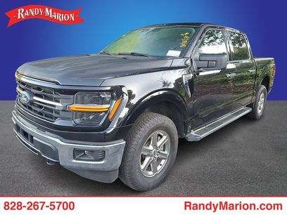 Used 2025 Ford F150 XLT w/ Equipment Group 301A Standard