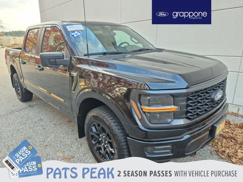 Certified 2025 Ford F150 STX image 1