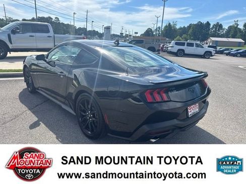 Used 2025 Ford Mustang Coupe w/ Mustang Nite Pony Package RWD image 5