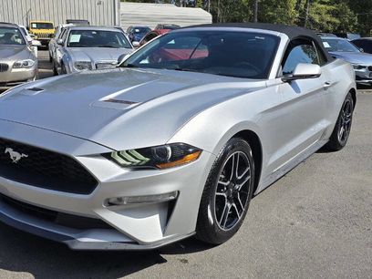 Used 2019 Ford Mustang Premium