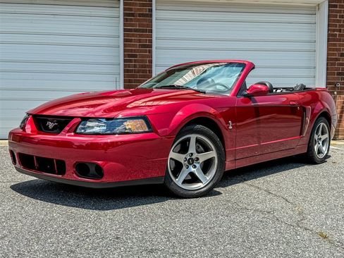 Used 2004 Ford Mustang Cobra RWD image 6