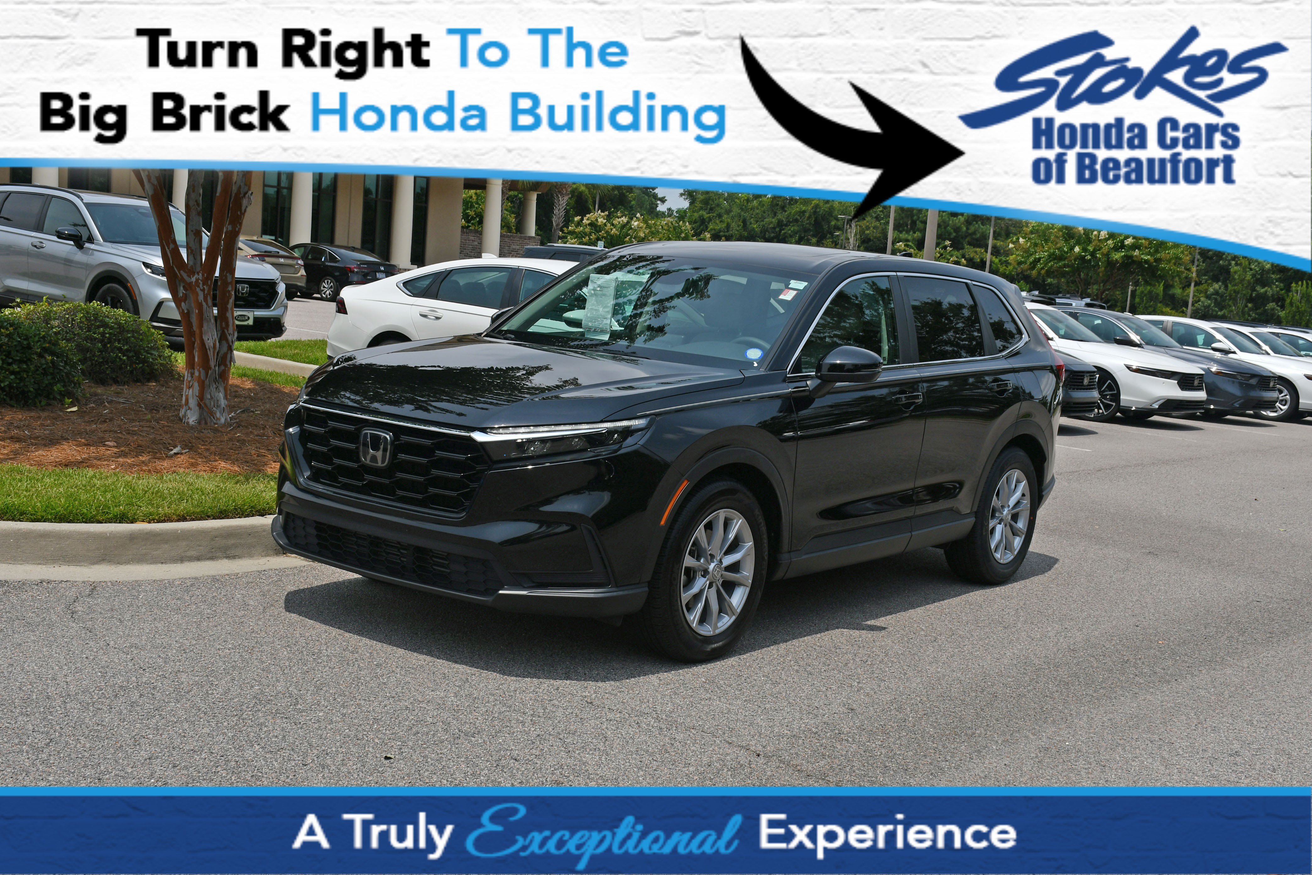 Certified 2025 Honda CR-V EX image 1