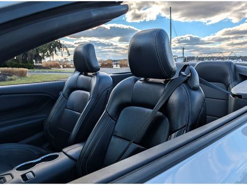 Used 2024 Ford Mustang Premium image 14